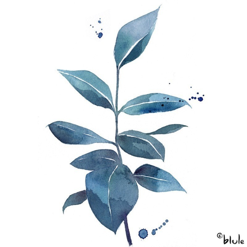 Blue Leaves Blule